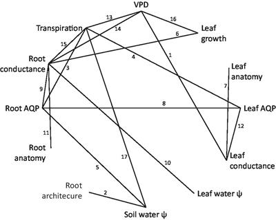 Optimizing Crop Water Use for Drought and Climate Change Adaptation Requires a Multi-Scale Approach